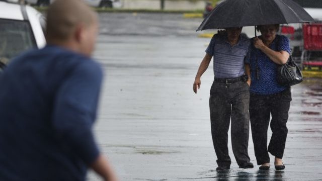 351396_irma 640x420.jpg