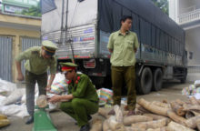 351544_vietnam_ivory_seizure_72878 f11b5ee1596e499682d8c37da80940e2 640x420.jpg