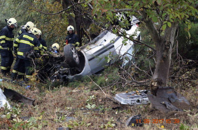 351986_dsc_0142 640x420.jpg