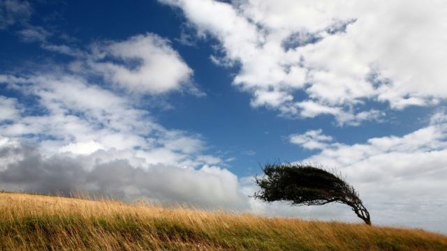 352141_vietor 1 640x420.jpg