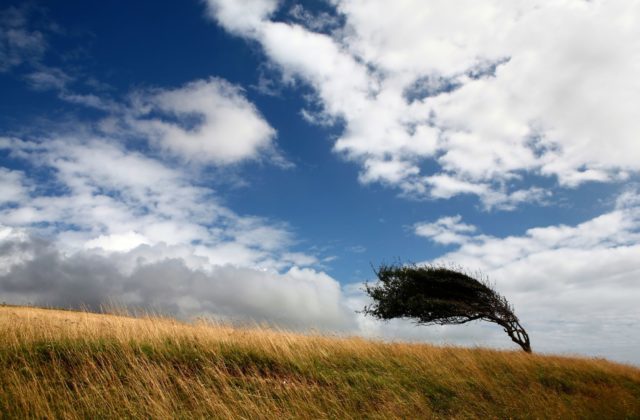 352141_vietor 1 640x420.jpg