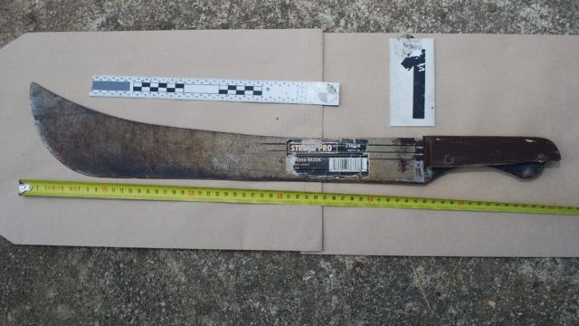 352602_maceta 640x420.jpg