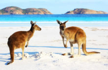 352634_australia 640x420.jpg