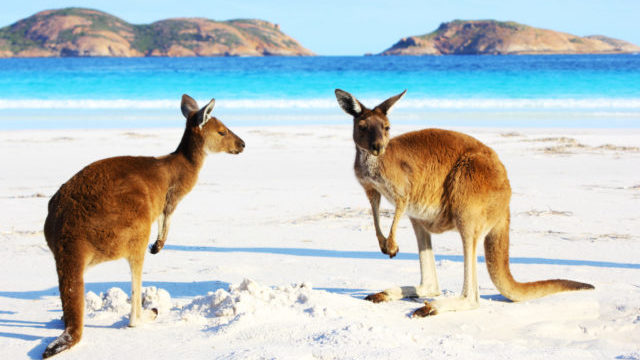 352634_australia 640x420.jpg
