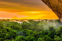 353369_amazonsky prales 640x420.jpg