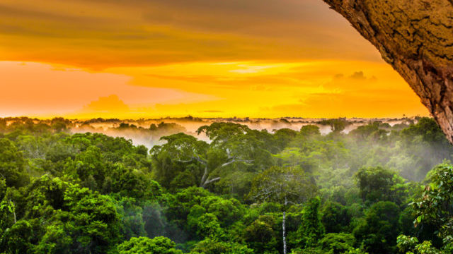 353369_amazonsky prales 640x420.jpg