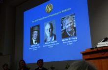 354043_jeffrey c. hall michael rosbash michael w. young 640x420.jpg
