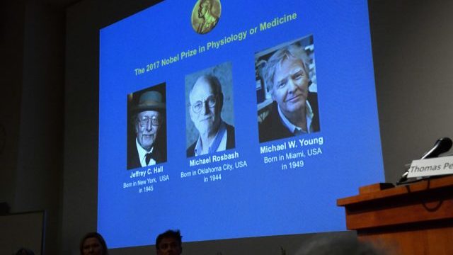 354043_jeffrey c. hall michael rosbash michael w. young 640x420.jpg