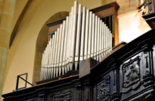 354226_organ_3 640x420.jpg