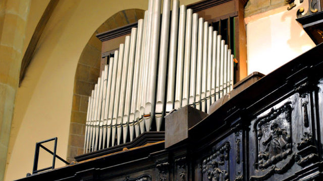 354226_organ_3 640x420.jpg