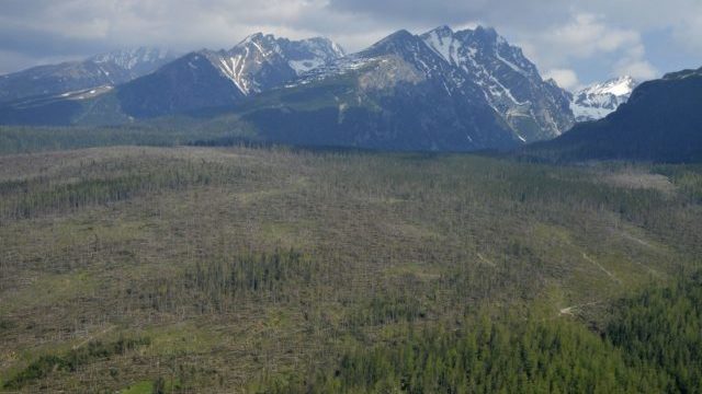 354371_tatry 640x420.jpg