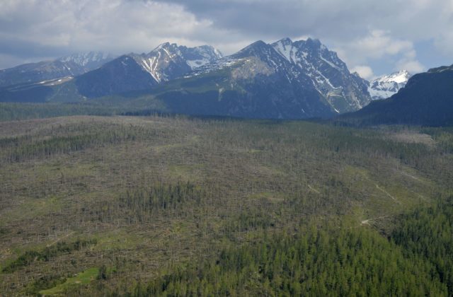 354371_tatry 640x420.jpg
