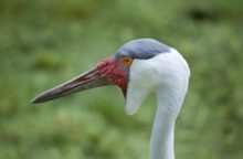 354622_thinkstockphotos 533061382 640x420.jpg