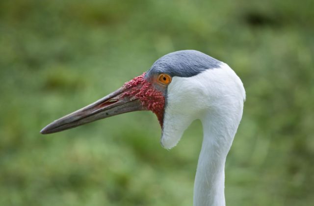 354622_thinkstockphotos 533061382 640x420.jpg