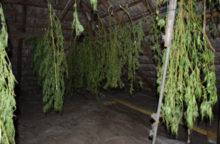354837_policia_drogy_002 640x420.jpg