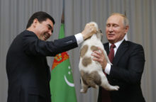355111_vladimir putin 2 640x420.jpg