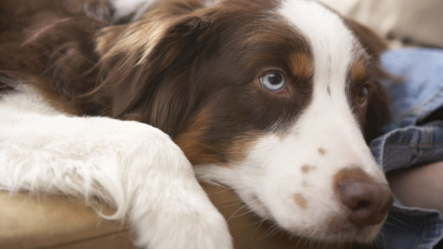 355181_thinkstockphotos 200454700 001 640x420.jpg