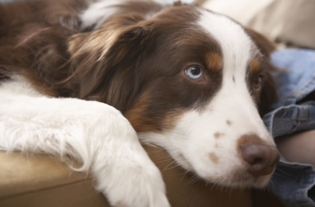 355181_thinkstockphotos 200454700 001 640x420.jpg