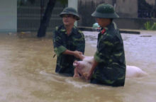 355228_vietnam 1 640x420.jpg