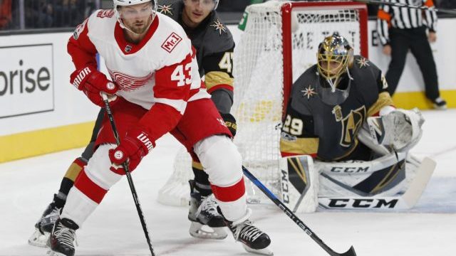 355341_red_wings_golden_knights_hockey_69833 635cb4ae1c924c81816f41ae8514cc03 640x420.jpg