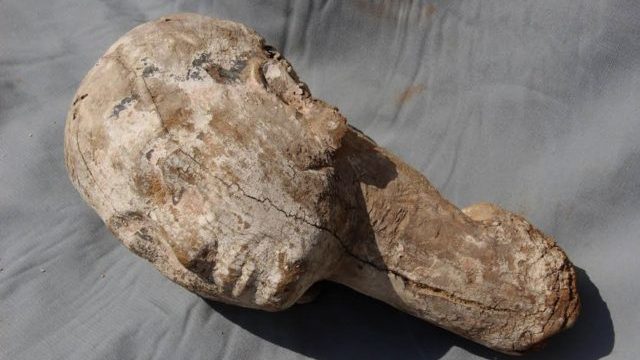 355842_archeologia objavili v egypte hlavu drevenej sochy ktora zrejme znazornovala vladkynu anchesenpepi ii. 640x420.jpg
