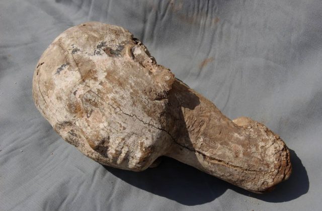 355842_archeologia objavili v egypte hlavu drevenej sochy ktora zrejme znazornovala vladkynu anchesenpepi ii. 640x420.jpg