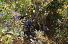 355869_policia_dn_002 640x420.jpg