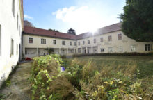 356484_malinoo 640x420.jpg