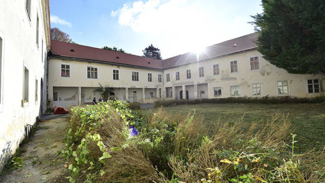 356484_malinoo 640x420.jpg