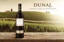 356650_slovenske vinice dunaj 2 640x420.jpeg