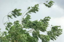 356816_thinkstockphotos 685759600 640x420.jpg