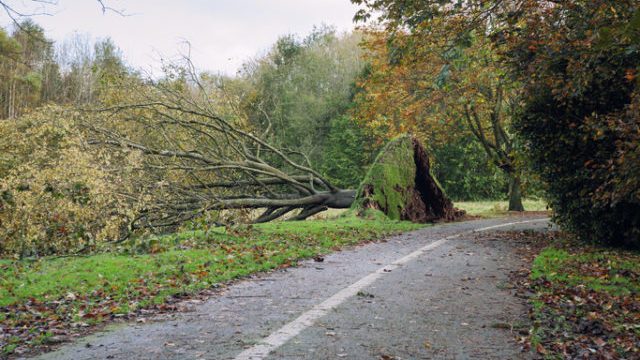 356821_thinkstockphotos 866344374 640x420.jpg