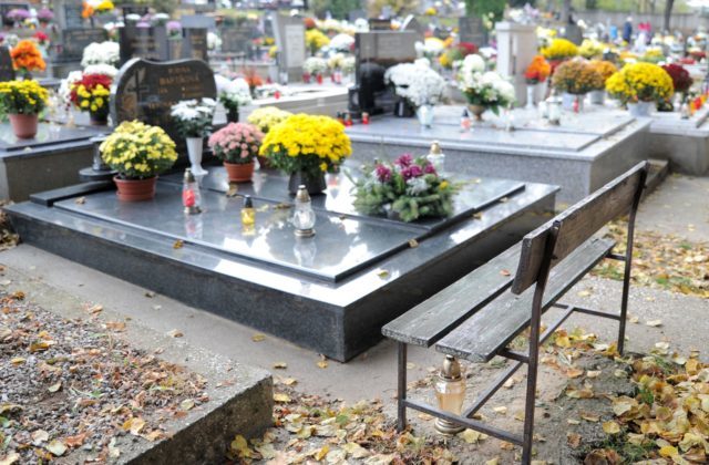 356889_cintorin 1 640x420.jpg