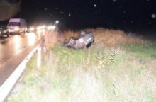 357044_svinna_003 640x420.jpg