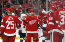 357108_coyotes_red_wings_hockey_64864 d4a0b90959054436920acb6f85e8ea84 640x420.jpg