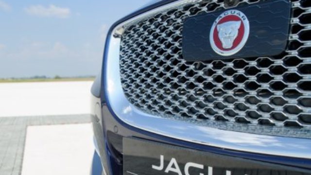 357707_jaguar 454x360.jpg