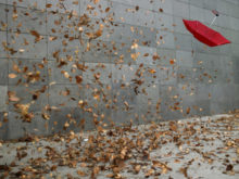 358227_thinkstockphotos 200398514 001 676x507.jpg