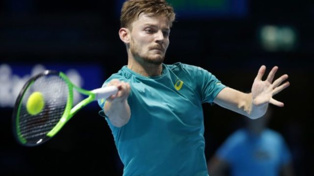 358849_david goffin 676x424.jpg