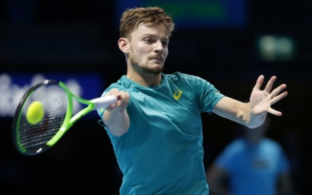 358849_david goffin 676x424.jpg