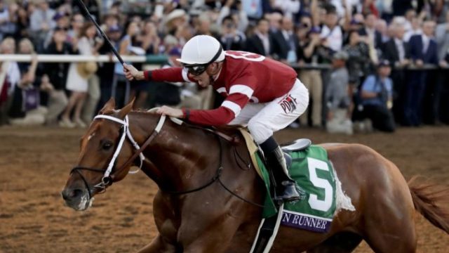 359168_breeders_cup_classic_horse_racing_55996 67c45dc00e7d4d1e946228ef51ab887f 676x468.jpg