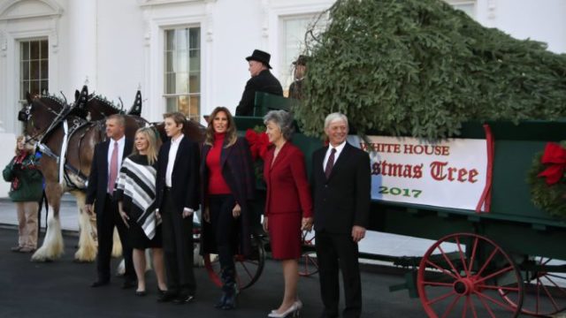 359207_white_house_christmas_73220 4a9c6ef1a0f4481dbd825a9a6fb99b1c 1 676x453.jpg
