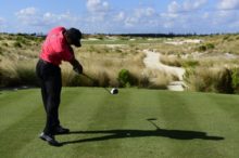 360556_tiger woods 676x450.jpg