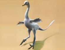 360900_duck_dinosaur_45626 85844aff77674a86880f7318d54e97a1 676x514.jpg