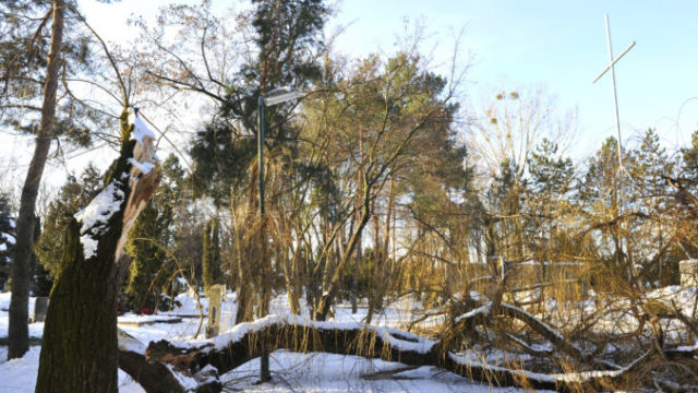 361450_bratislava_04 676x451.jpg