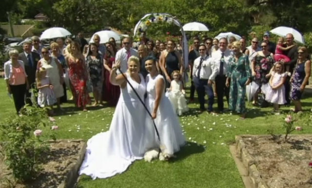 361930_australia_same_sex_marriage_69565 ab9df9e3a49540bca8bd90185b4dad3c 676x408.jpg