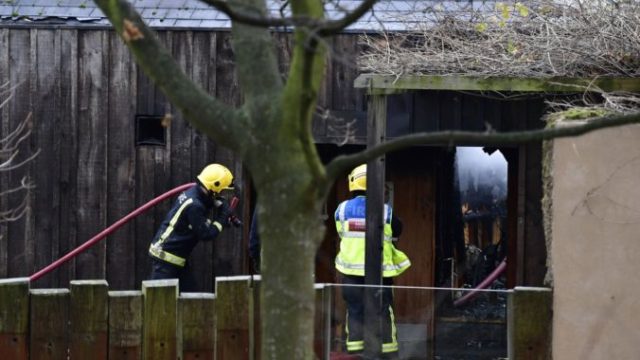 362471_britain_zoo_fire_01327 4a962f1bb3324abc874b3dc1e070f7a9 676x450.jpg
