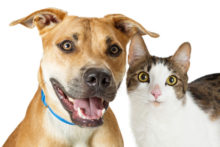 362605_thinkstockphotos 671075220 676x451.jpg