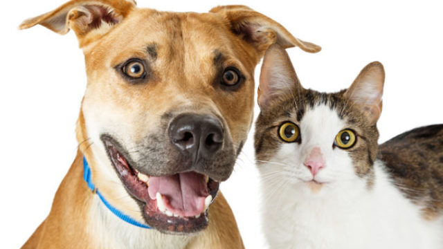362605_thinkstockphotos 671075220 676x451.jpg