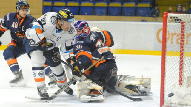 362656_dsc_7672 676x488.jpg