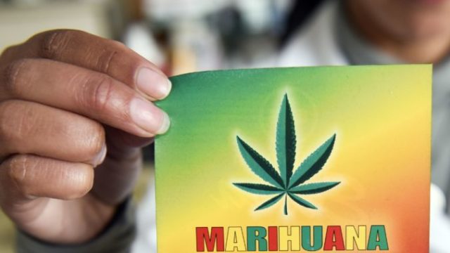 363086_marihuana 676x411.jpg